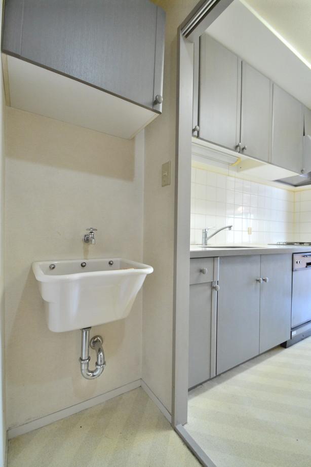 Kitchen. Utility room