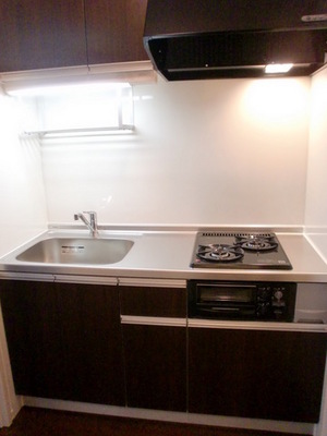 Kitchen. Gas two-burner grill with a system Kitchen