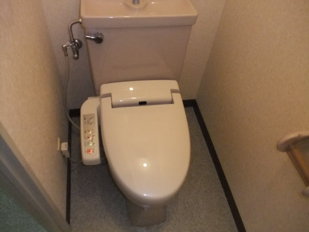 Toilet. WC