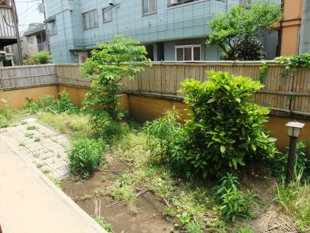Garden. Balcony