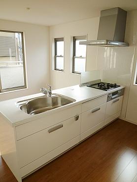 Kitchen. Kitchen (construction cases)