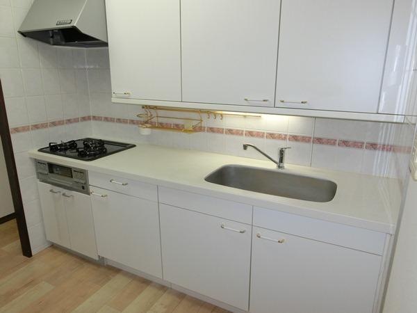 Kitchen. Indoor (11 May 2013) Shooting