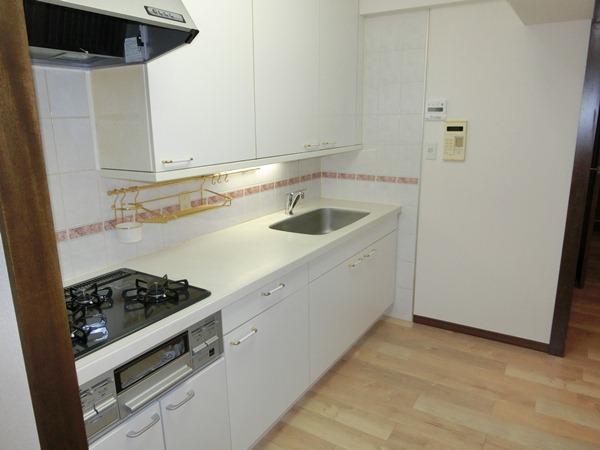 Kitchen. Indoor (11 May 2013) Shooting