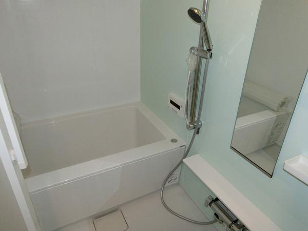 Bathroom. Indoor (11 May 2013) Shooting