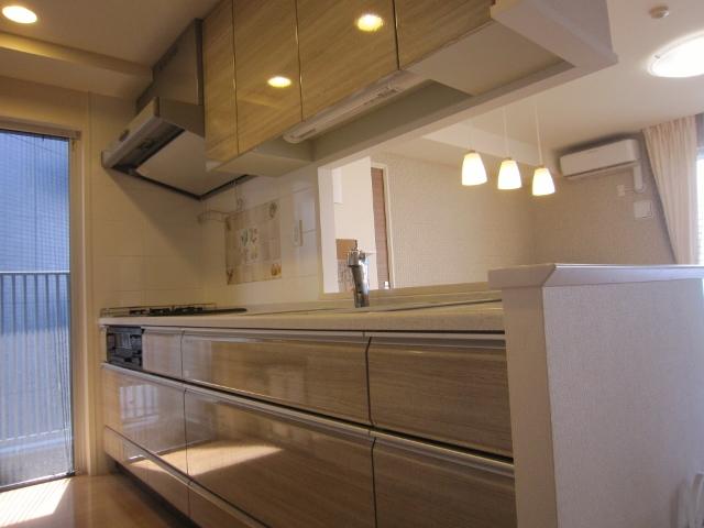 Kitchen. Disposer adoption