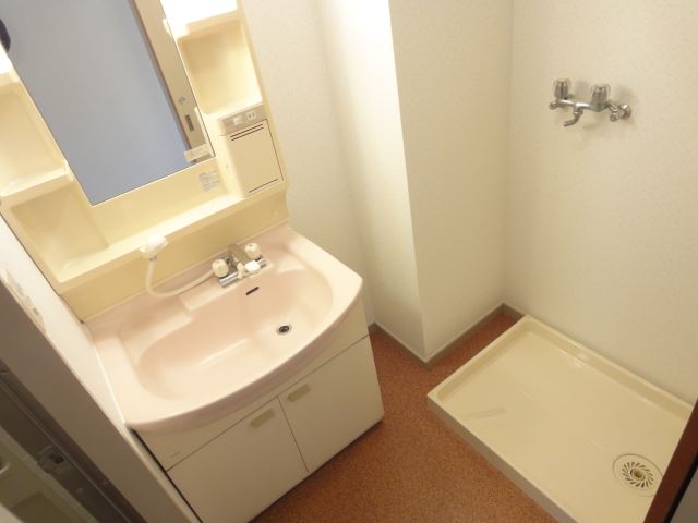 Washroom. Shampoo dresser is attached.