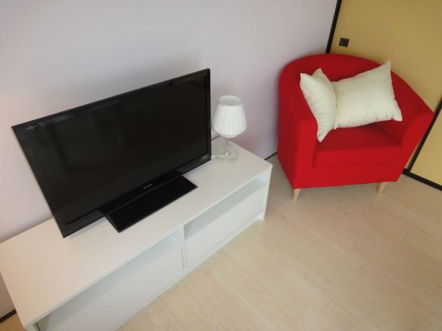 Living and room. Furnished Home Appliances