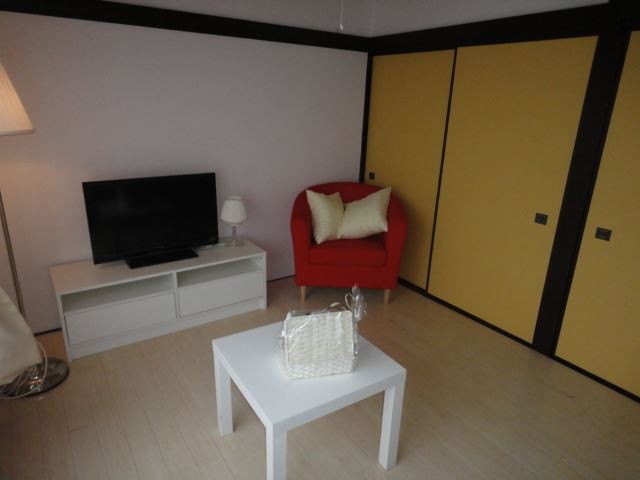 Living and room. Furnished Home Appliances