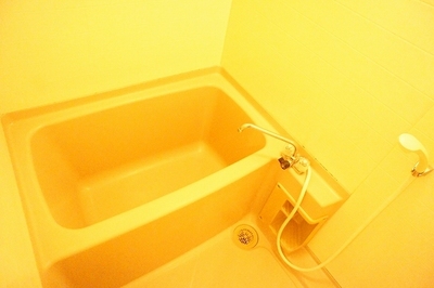 Bath. There is a bathroom in the house dressing