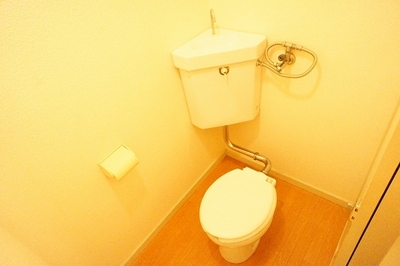 Toilet. There is a toilet in the house undressing
