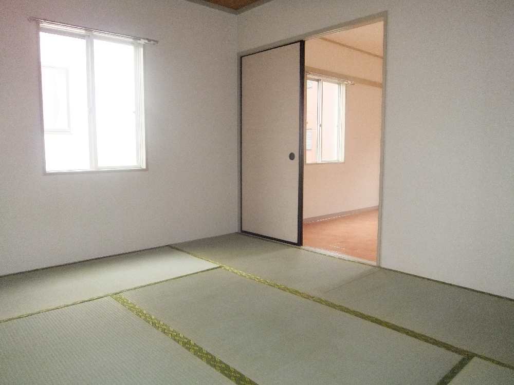 Living and room. Japanese style room