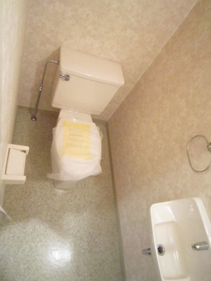 Toilet. Spacious toilet