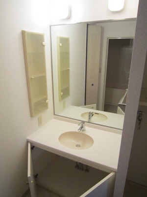 Washroom. Wash basin equipped independent