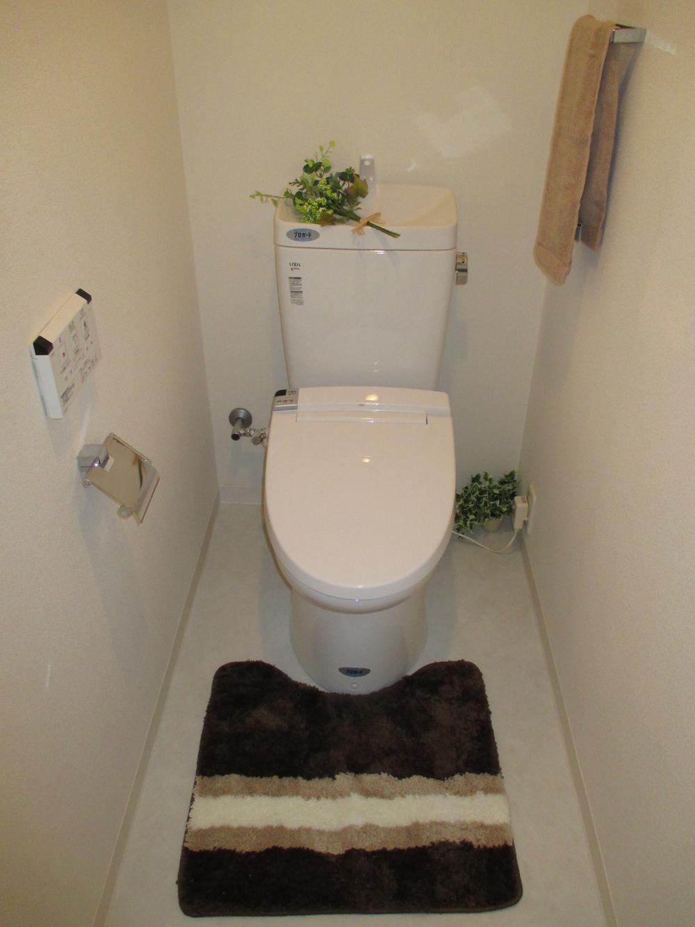 Toilet. Indoor (September 2013) Shooting