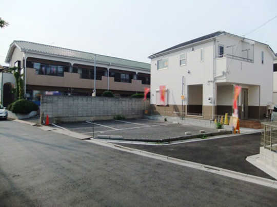 Local land photo. appearance