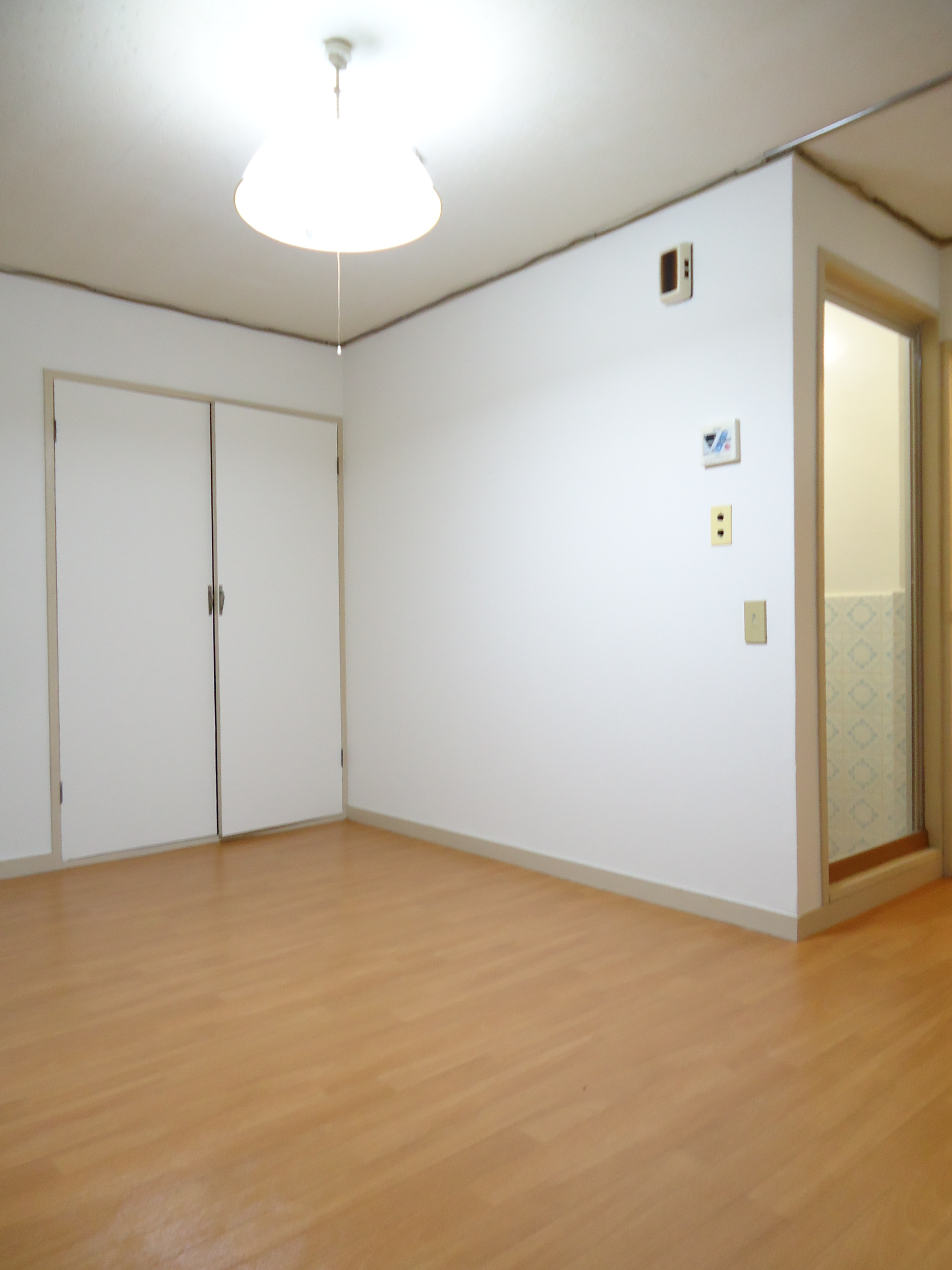 Living and room. With lighting