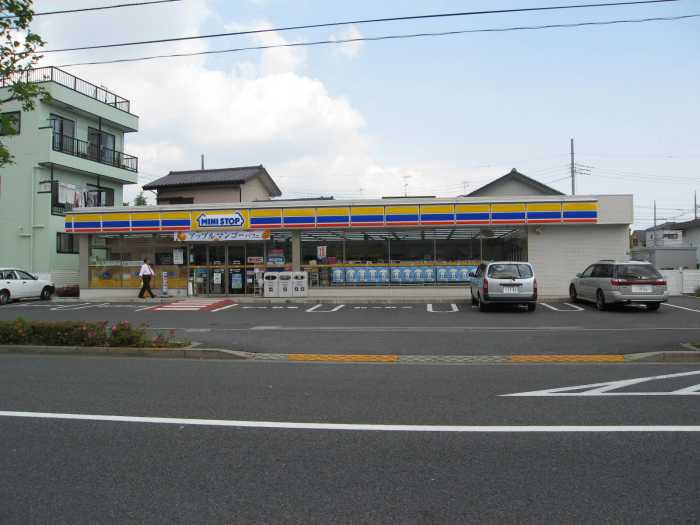 Other. Convenience store