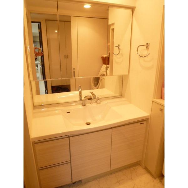 Wash basin, toilet. Easy-to-use wide shampoo dresser