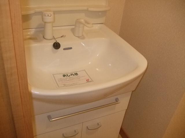 Washroom. Shampoo dresser