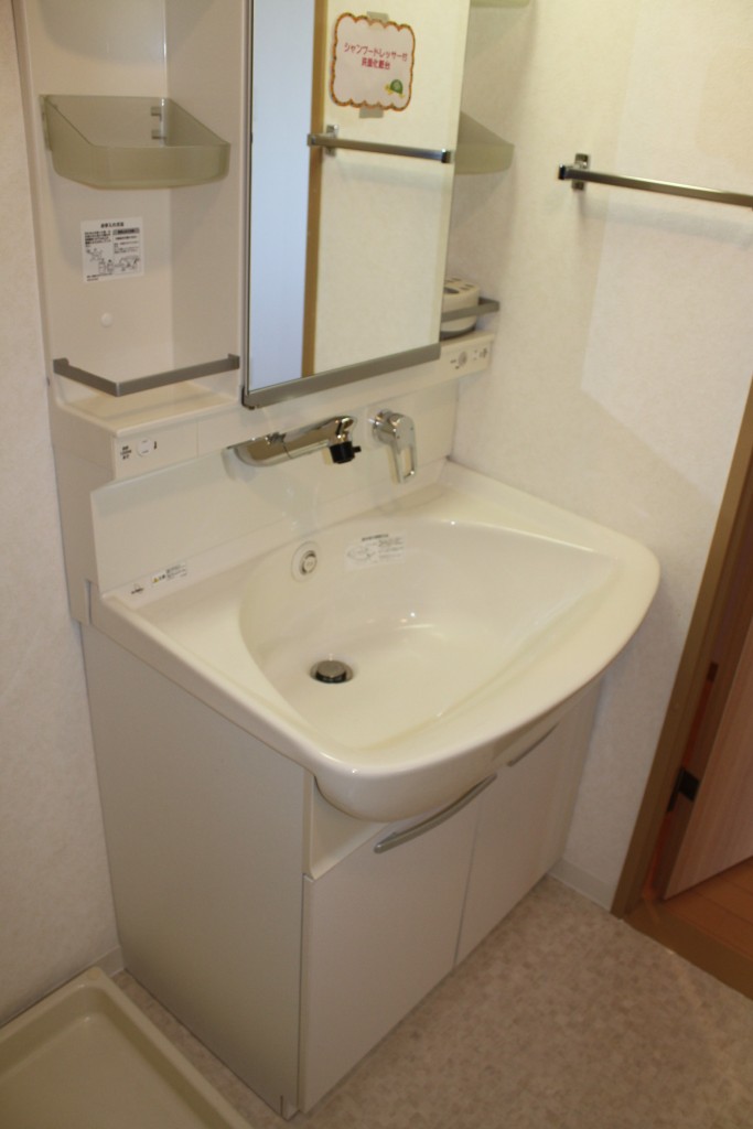 Washroom. Shampoo dresser with vanity