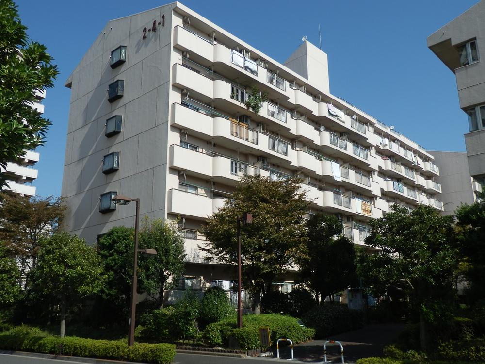 Local appearance photo. Appearance form is good per yang!  Local (10 May 2013) Shooting