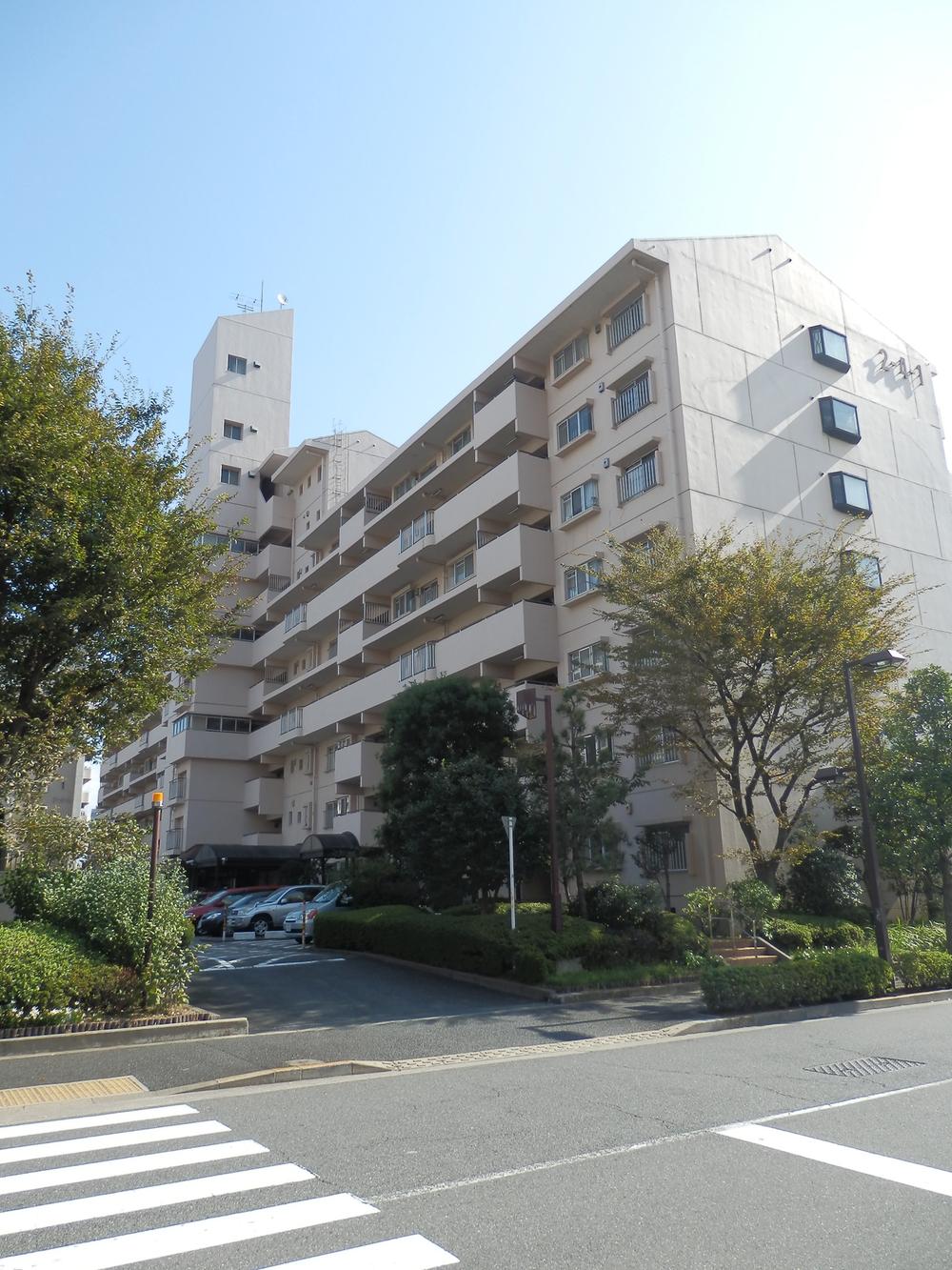 Local appearance photo. Local (10 May 2013) Shooting