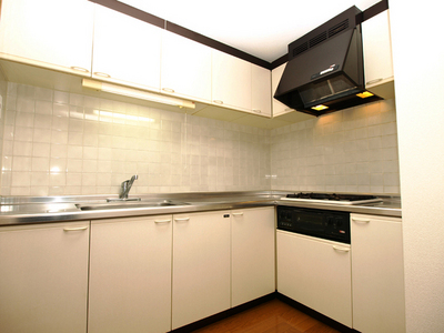 Kitchen. 3-neck L-shaped kitchen with a grill on the stove has good usability, every