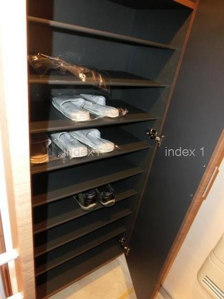 Entrance. Neat dispose of shoe storage is around the entrance