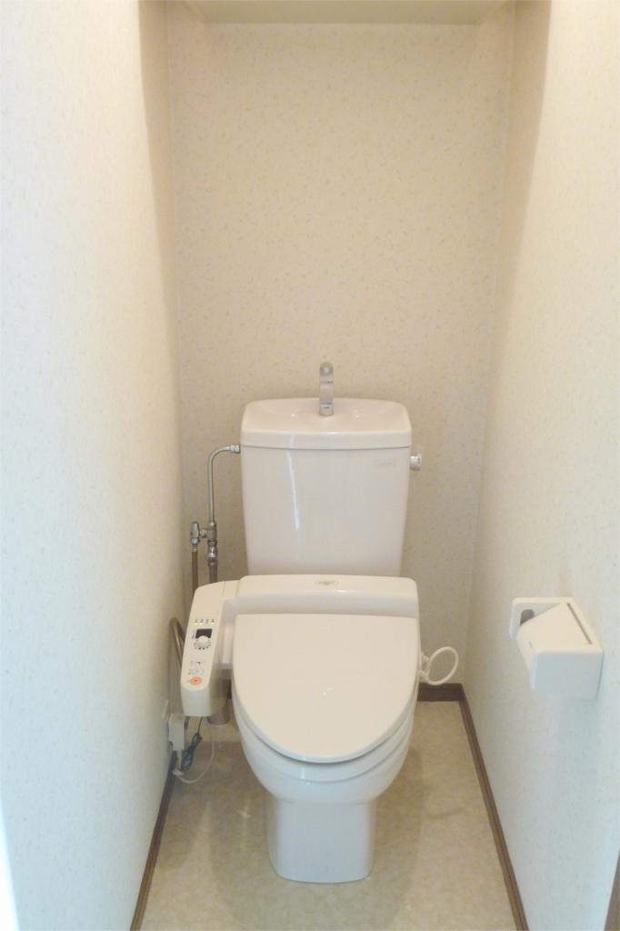 Toilet. Bidet