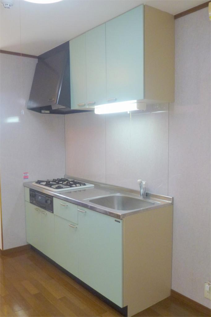 Kitchen. System kitchen
