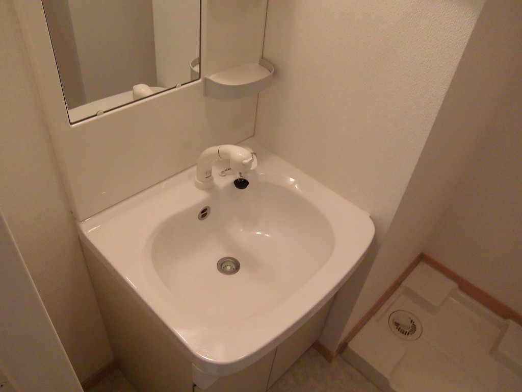 Washroom. Shampoo wash basin