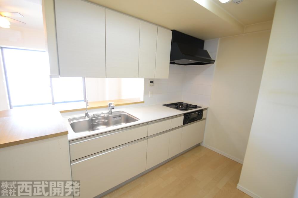 Kitchen. System kitchen