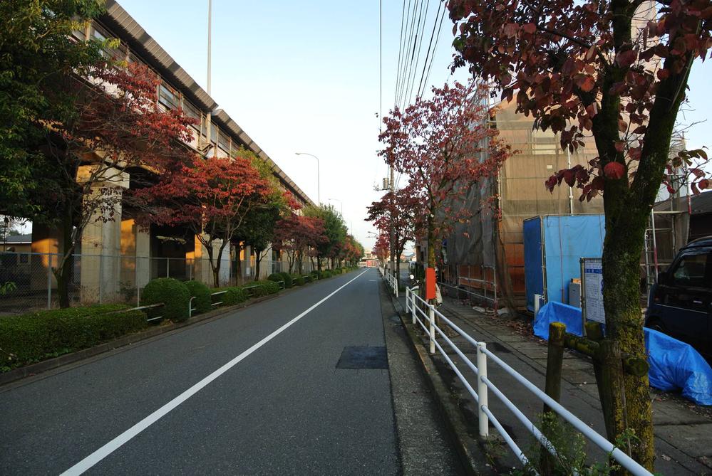 Local photos, including front road. local