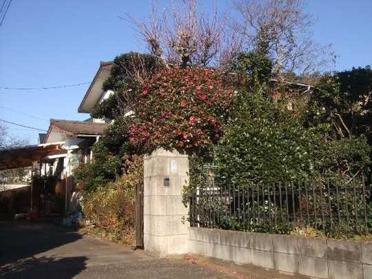 Local land photo. Local (1)