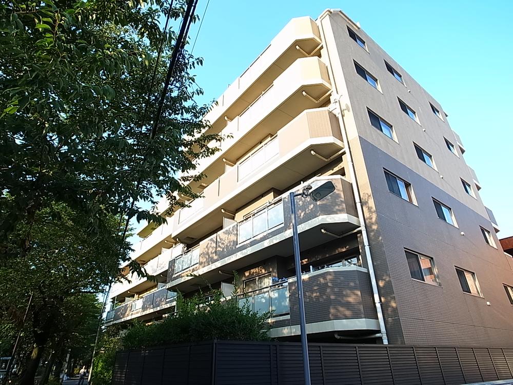 Local appearance photo. Local (August 2013) Shooting