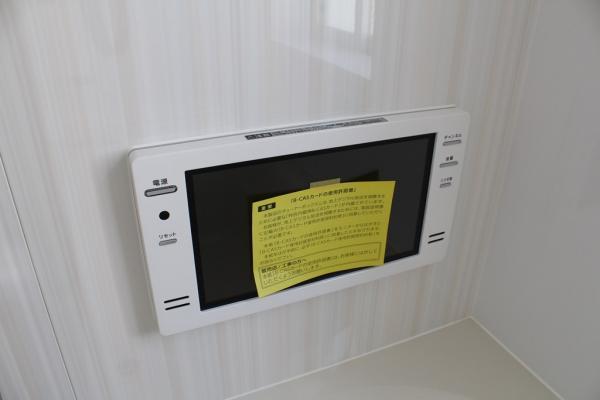 Other introspection.  ☆ Bathroom TV ☆ 