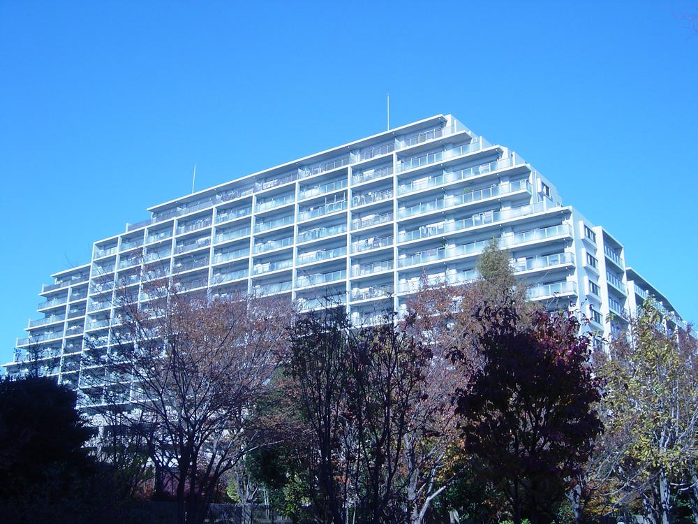 Local appearance photo. Local (12 May 2013) Shooting