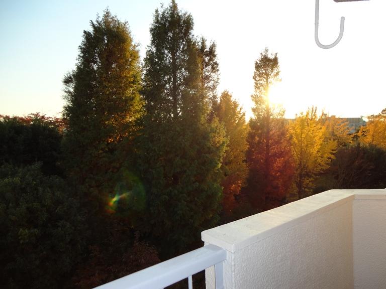 View photos from the dwelling unit. View (November 2013) Shooting