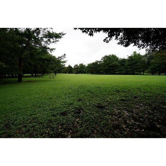 park. 170m Metropolitan Nogawa park to Metropolitan Nogawa Park