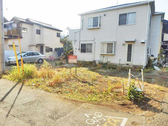 Local land photo. appearance