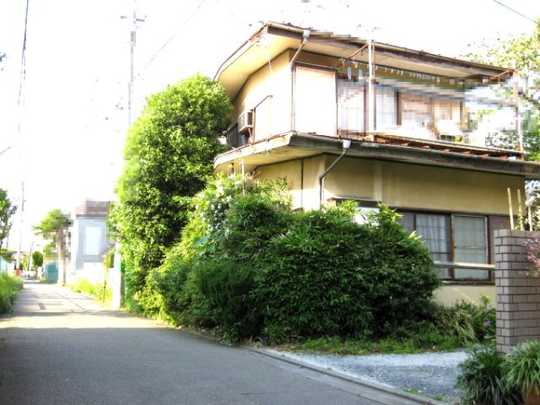 Local land photo. Appearance 1