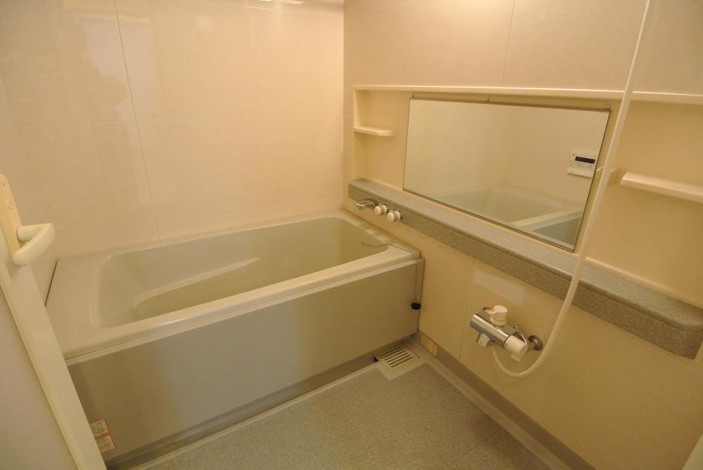 Bathroom. Interior
