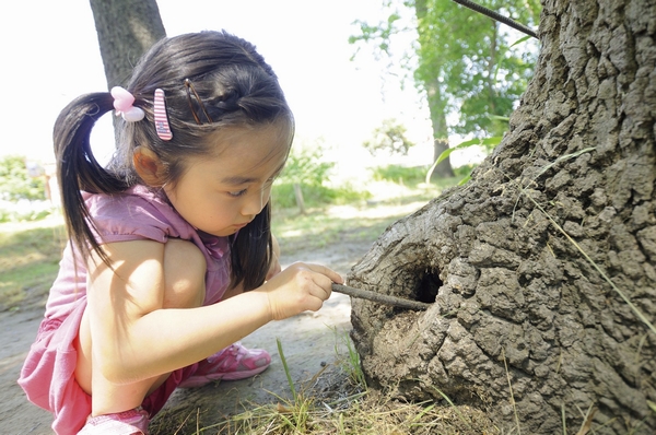 Other.  [Yotsuyashimo weir green space (a 1-minute walk ・ About 10m)] Nature was left, which has been guarded by the people of the region, Green space that extends to the local north. You can interact in the flowers of the seasons insects and four seasons, Natural environment is perfect for raising children to nurture children's curiosity
