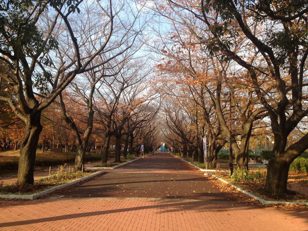 park. 50m wonderful park to Fuchu Forest Park