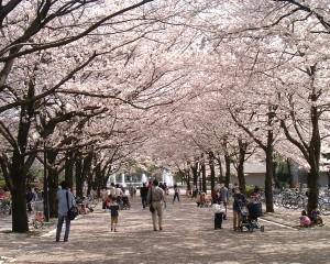 park. 450m to Fuchu Forest Park