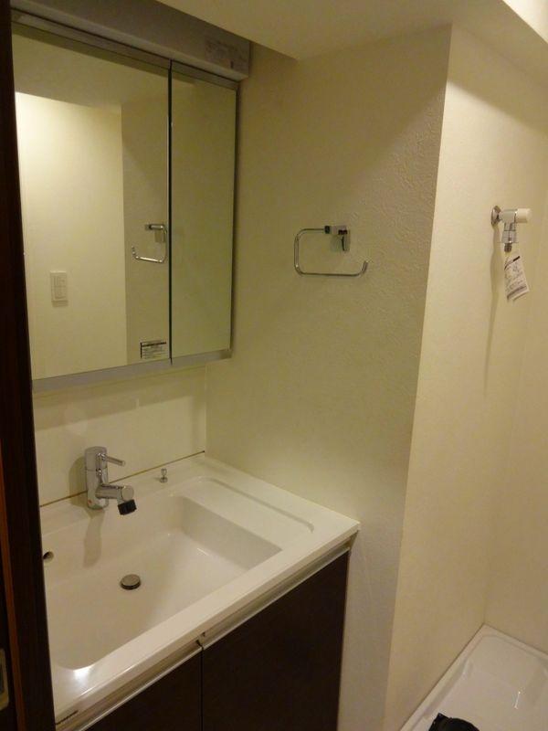 Wash basin, toilet. Bathroom vanity