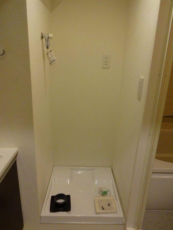 Other introspection. Washing machine Storage