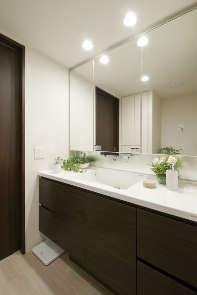 Vanity was the faucet located below the mirror. It can also be drawn head portion