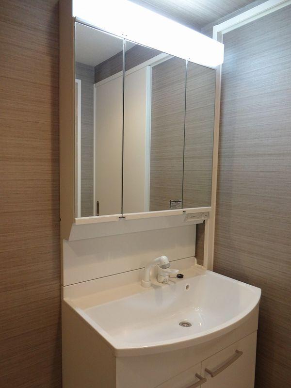 Wash basin, toilet. Bathroom vanity