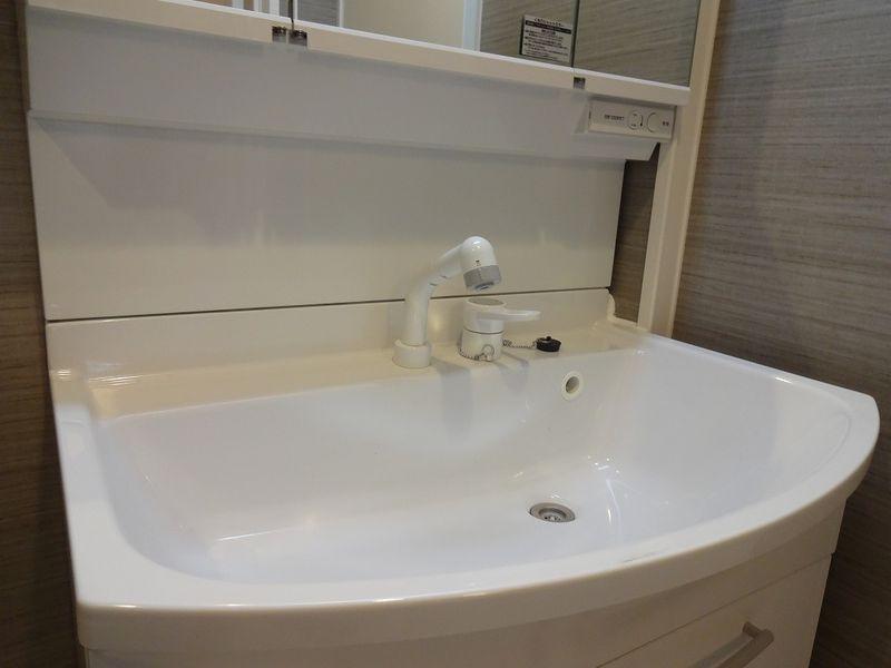 Wash basin, toilet. Bathroom vanity